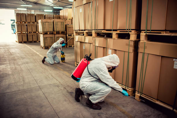 Best Pest Inspection Near Me  in New Prague, MN