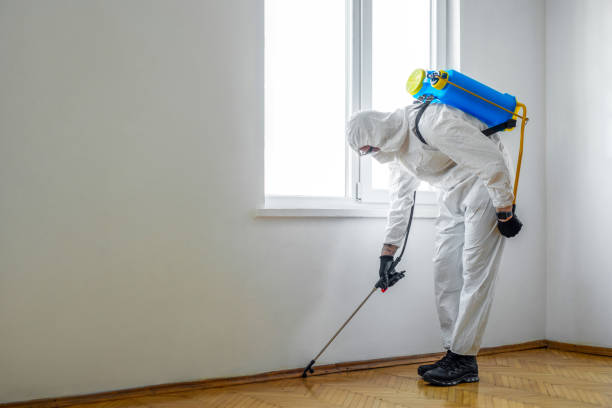 Best Flea Control Services  in New Prague, MN