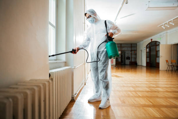 Trusted New Prague, MN Pest Control Experts