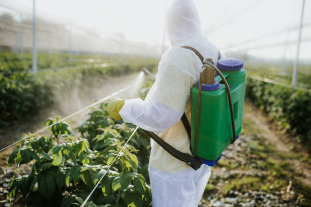 Best Pest Removal Services  in New Prague, MN